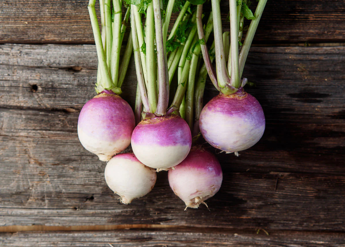 Purple Top White Globe Turnip